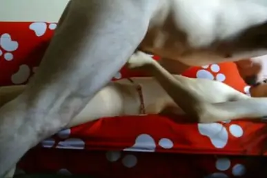 ABG Bispak Jakarta Live dari Kamar Hotel Bintang Lima, Semua Penonton Tidak Percaya